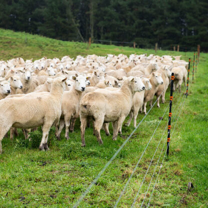 — 742014 — Gallagher Geïsoleerde Line Post 1,40m hoog (4 stuks) voor schapen, vee en wild online bestellen ✔ Officiële website ✔ #1 in afrastering ✔ Hoogste kwaliteit — Gallagher